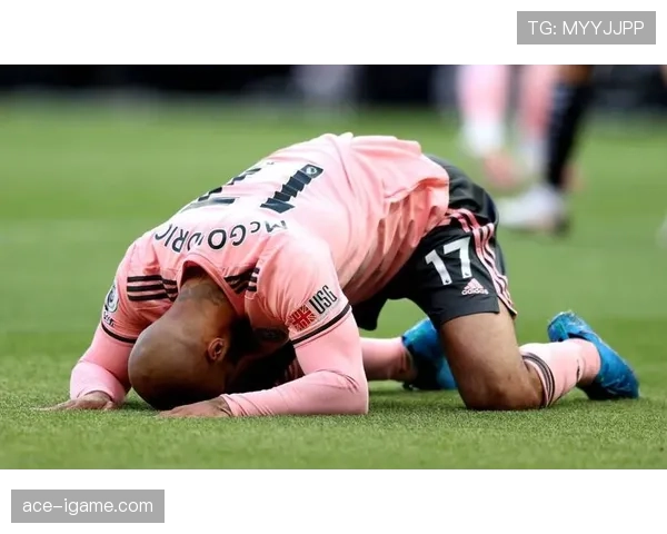 降级之痛谢菲联自省 寻路重建迎未来征途 降级之痛谢菲联自省 寻路重建迎未来征途