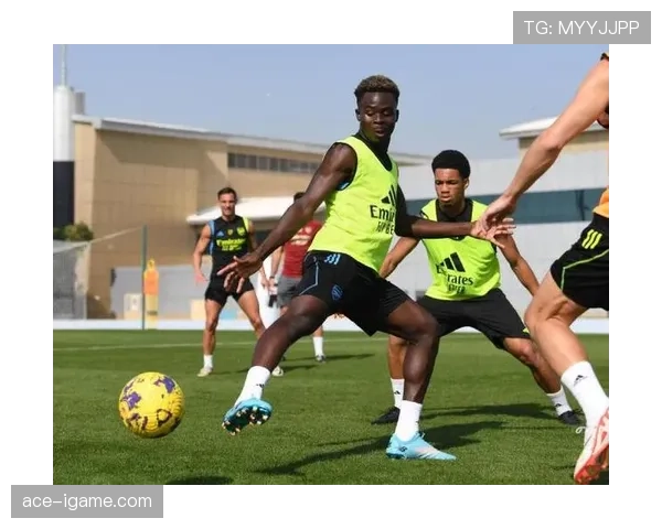 赖斯训练方式解析